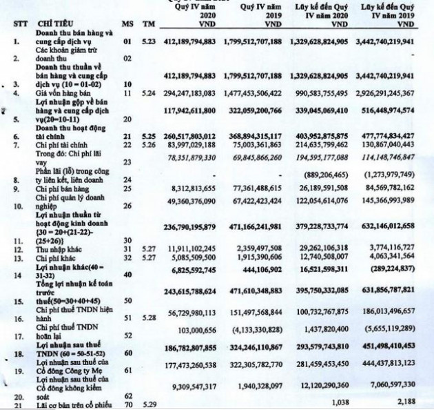 Hải Phát (HPX): Quý 4 lãi 187 tỷ đồng, giảm 42% so với cùng kỳ 2019 - Ảnh 1.