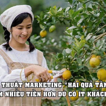 ‘Hái quả tầm thấp’ – chiến thuật marketing giúp nhiều công ty vẫn ăn nên làm ra dù có ít khách hàng, bỏ ra chi phí tối thiểu thu về lợi nhuận không hề thấp