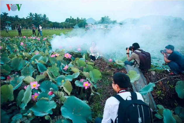 “Hái” ra tiền nhờ trồng sen - Ảnh 2.