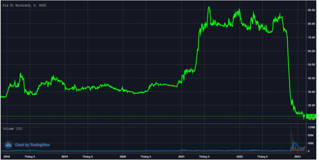 Hai thành viên HĐQT Novaland nộp đơn từ nhiệm sau khi thoái bớt vốn - Ảnh 1.