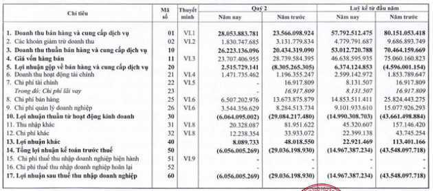 Halico: 6 tháng đầu năm 2020 báo lỗ 15 tỷ đồng - Ảnh 2.