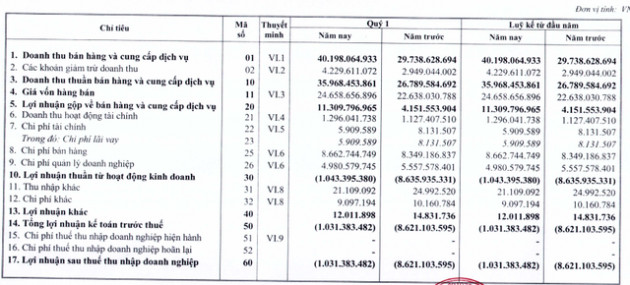 Halico chỉ lỗ hơn 1 tỷ đồng trong quý 1/2021, doanh thu bán rượu tăng đột biến 34% - Ảnh 1.