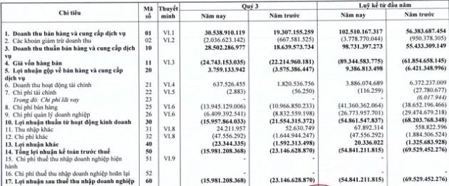 Halico hoàn thành 95% “kế hoạch lỗ” năm 2018 chỉ sau 3 quý - Ảnh 1.