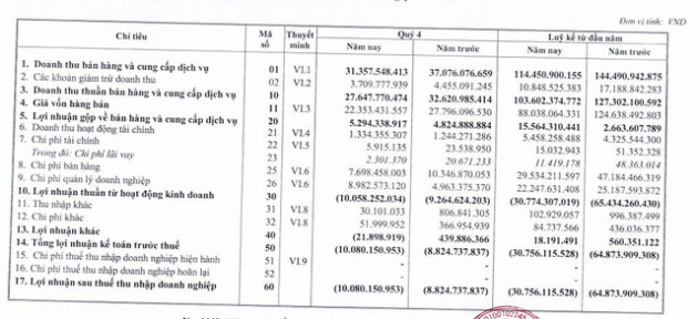 Halico: Quý 4 lỗ tiếp 10 tỷ đồng - Ảnh 2.