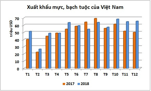 Hàn Quốc dần đầu thị trường tiêu thụ mực, bạch tuộc của Việt Nam - Ảnh 1.