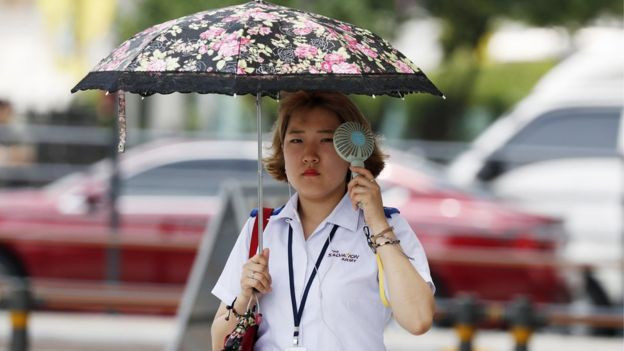 Hàn Quốc nóng kỷ lục: 29 người tử vong, đệm cao su cháy đen vì phơi nắng và trứng thì liên tục nở thành gà con - Ảnh 5.