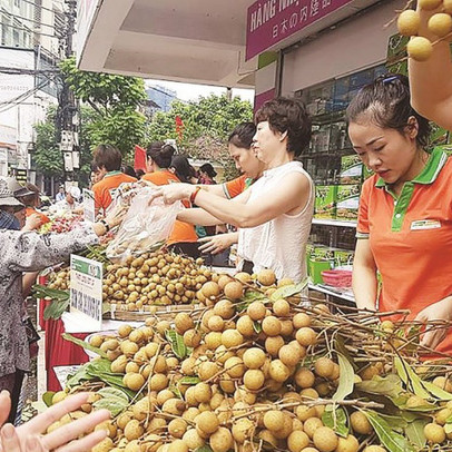 Hẫng hụt xuất khẩu rau quả