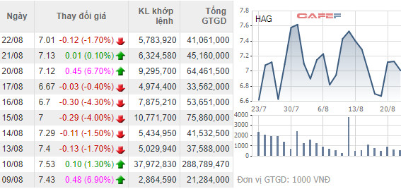 Hàng loạt lãnh đạo HAGL Agrico từ chức sau khi bắt tay với Thaco, có cả em trai bầu Đức - Ảnh 2.