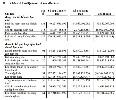 Hàng loạt ông lớn giảm lãi mạnh sau kiểm toán - Ảnh 4.