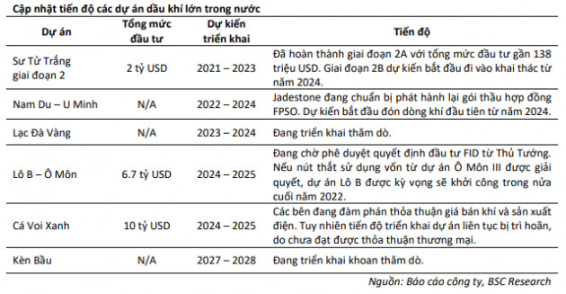 Hàng loạt thông tin tích cực cho nhóm cổ phiếu dầu khí trong năm 2022, BSC gọi tên 5 mã tiềm năng được hưởng lợi lớn - Ảnh 2.