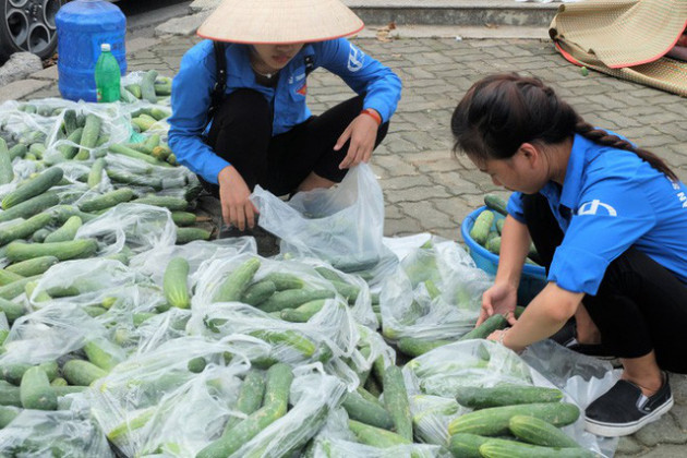 Hàng trăm kg dưa chuột đổ mồ hôi trong nắng nóng Hà Nội chờ được giải cứu - Ảnh 2.