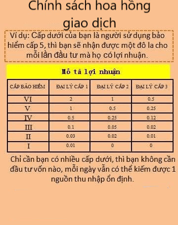 Hàng trăm NĐT đệ đơn tố cáo sàn Coolcat: Dùng chiêu lùa gà mời đầu tư nhận lãi chục triệu đồng/ngày, hoa hồng 40 triệu đồng khi mời bạn bè nhưng đột nhiên sập hệ thống - Ảnh 3.