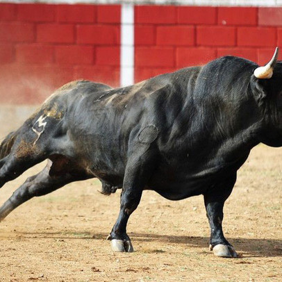 Hàng trăm triệu USD vốn ngoại chực chờ vào Việt Nam, VN-Index sẽ “sideway up” trong nửa cuối năm 2019?