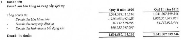 Hanic (SHN): Quý 2 lãi 118 tỷ đồng cao gấp 4 lần cùng kỳ - Ảnh 1.