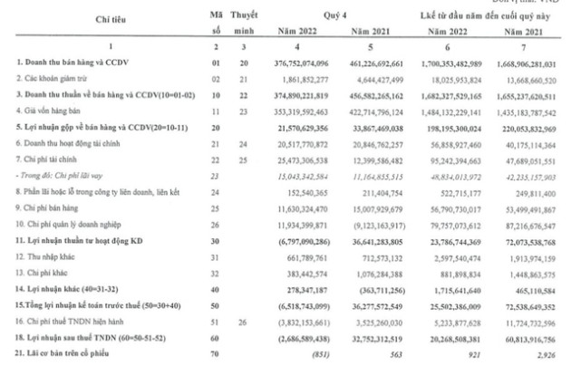 Hanosimex (HSM) lỗ tiếp 2,7 tỷ đồng trong quý 4/2022 - Ảnh 1.