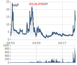 HAPACO (HAP) kỳ vọng lãi năm 2021 tăng trưởng hơn 220%, tăng vốn điều lệ lên 1.250 tỷ đồng - Ảnh 2.