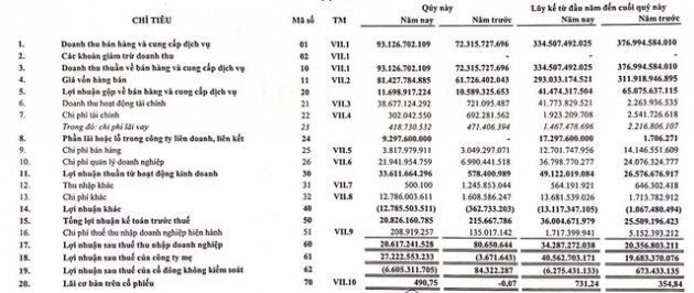 Hapaco (HAP): Quý 4 lãi 21 tỷ đồng – Cao nhất trong vòng 6 năm qua - Ảnh 1.