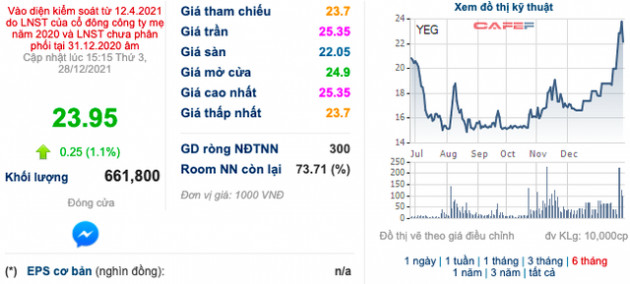 Hậu cắt lỗ của ái nữ nhà Tân Hiệp Phát, cổ phiếu YEG bật tăng 60% sau chưa đầu 1 tháng trước những diễn biến mới - Ảnh 1.