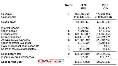 Hệ sinh thái bán lẻ - logistics Seedcom của ông Đinh Anh Huân đạt doanh thu 157 triệu USD năm 2020, lỗ ròng gần 40 triệu USD - Ảnh 1.