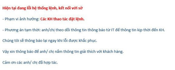 Hệ thống giao dịch của VPS gặp lỗi trong chiều 31/3, nhà đầu tư không thể đăng nhập - Ảnh 3.