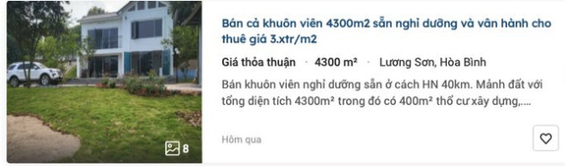 Hết thời “bỏ phố về rừng”, đến thời “bán farmstay về phố” - Ảnh 1.