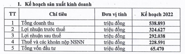 HFIC, phiên bản SCIC của TP.HCM báo lỗ kỷ lục gần 1.592 tỷ năm 2021 vì trích lập dự phòng cho vay - Ảnh 5.