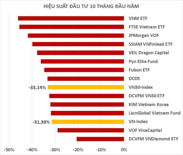 Hiệu suất các quỹ đầu tư cổ phiếu tiếp tục âm nặng trong tháng 10, hai tên tuổi lớn thua lỗ gần 50% kể từ đầu năm - Ảnh 2.