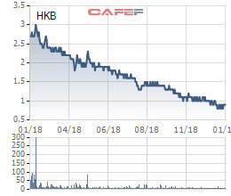 HKB báo lỗ 104 tỷ đồng trong quý 4/2018, cổ phiếu rơi xuống 800 đồng - Ảnh 1.