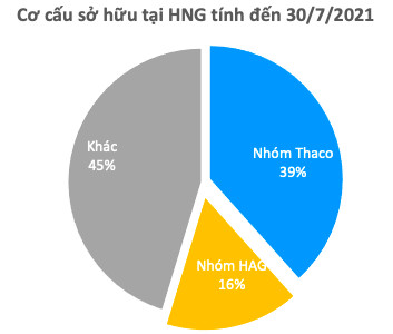 HNG: Dù HAGL đã dừng bán trước phản ứng của Thaco, cổ phiếu vẫn liên tục giảm sâu hơn 60% kể từ đầu năm - Ảnh 2.