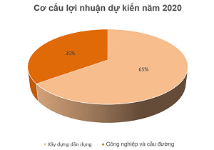 Hòa Bình muốn mở rộng mảng công nghiệp và cầu đường, khó đạt kế hoạch lợi nhuận 2019 - Ảnh 2.