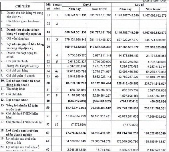 Hóa chất cơ bản Miền Nam (CSV): 9 tháng lãi trước thuế 228 tỷ đồng, hoàn thành 78% kế hoạch năm - Ảnh 1.