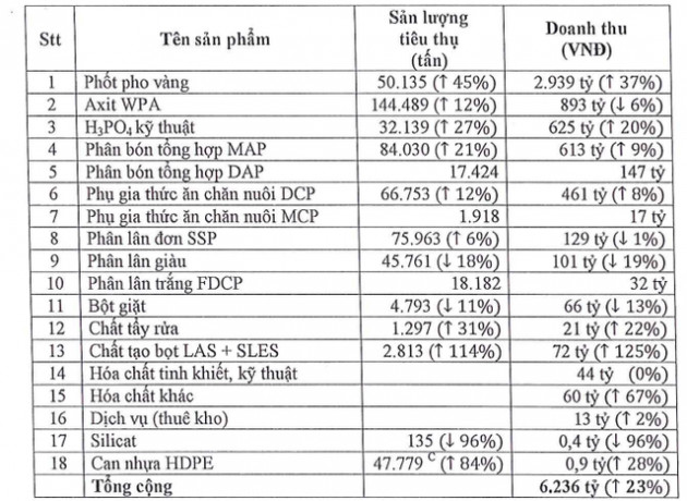 Hóa chất Đức Giang (DGC) đặt kế hoạch lãi sau thuế 1.100 tỷ đồng năm 2021 - Ảnh 1.