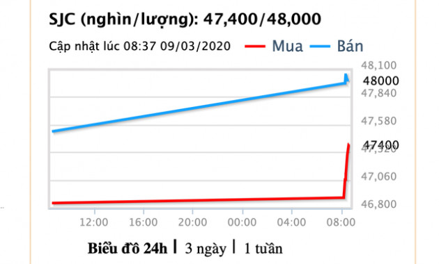 Hoa mắt với giá vàng, lại đảo chiều tăng gần nửa triệu đồng/lượng - Ảnh 3.