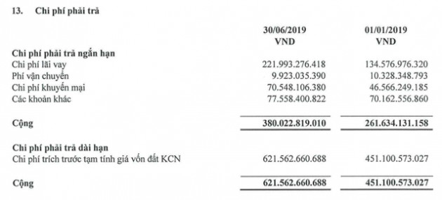 Hòa Phát đã rót gần 43.000 tỷ vào Dung Quất, mảng nông nghiệp, bất động sản tăng 50% doanh thu - Ảnh 4.