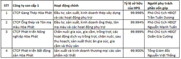 Hòa Phát thành lập công ty con về điện máy gia dụng, vốn điều lệ 1.000 tỷ đồng - Ảnh 1.