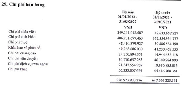 Hoa Sen Group (HSG) lợi nhuận sau thuế quý 1 đạt 234 tỷ đồng, giảm 77% so với cùng kỳ - Ảnh 1.