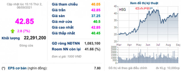 Hoa Sen (HSG): Cổ phiếu tăng mạnh, người nhà Thành viên HĐQT bán ra phần lớn cổ phần - Ảnh 1.