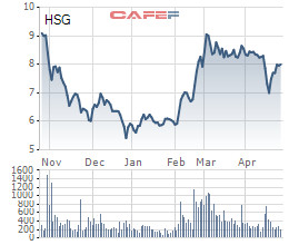 Hoa Sen (HSG) lãi 53 tỷ đồng trong quý 2/2019, giảm 39% so với cùng kỳ - Ảnh 2.