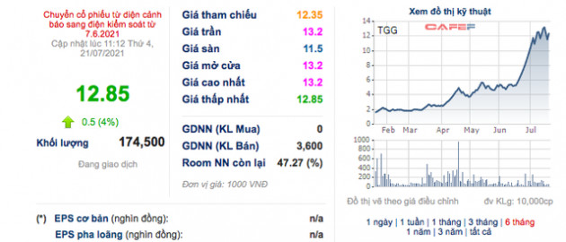 Hoàn nhập 43 tỷ đồng tiền dự phòng giúp TGG lãi lớn trong quý 2 - Ảnh 3.