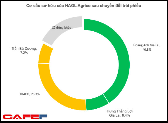 Hoàn tất chuyển đổi trái phiếu cho THACO, tỷ lệ sở hữu của nhóm HAGL tại HAGL Agrico xuống dưới mức chi phối 50% - Ảnh 1.