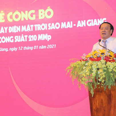 Hoàn thành nhà máy điện mặt trời Sao Mai - An Giang hơn 6.000 tỷ đồng