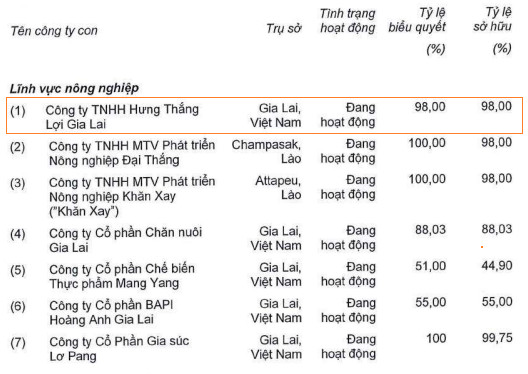 Hoàng Anh Gia Lai bảo lãnh cho một công ty con vay vốn ngân hàng