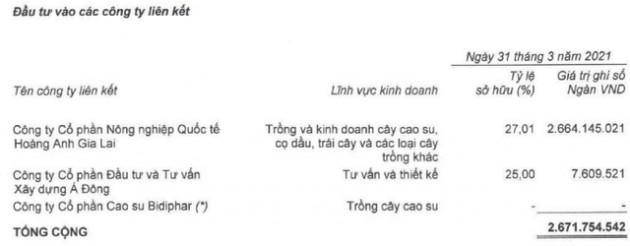 Hoàng Anh Gia Lai (HAG): Bán đi đứa con nông nghiệp, quy mô tài sản giảm phân nửa, doanh thu cũng chỉ bằng ¼ cùng kỳ với 284 tỷ đồng - Ảnh 3.