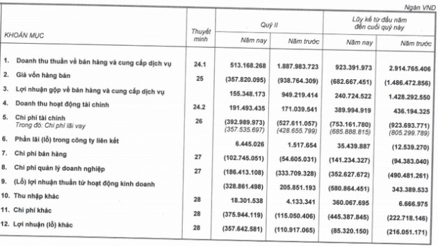 Hoàng Anh Gia Lai (HAG) báo lỗ ròng 539 tỷ trong quý 2, đang mượn tạm bầu Đức hơn 2.500 tỷ đồng - Ảnh 2.