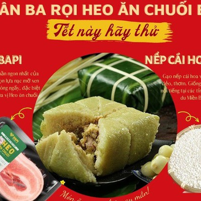 Hoàng Anh Gia Lai (HAGL) bán bánh chưng Tết nhân Heo ăn chuối Bapi, giá 90.000 đồng/chiếc