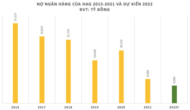 Hoàng Anh Gia Lai hoàn tất trả nợ trước hạn 605 tỷ đồng cho BIDV - Ảnh 1.