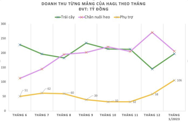 Hoàng Anh Gia Lai tiếp tục đạt gần 100 tỷ lợi nhuận trong tháng đầu năm 2023 - Ảnh 1.