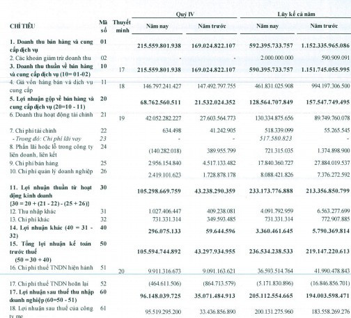 Hoàng Huy (HHS): Còn gần 2.000 tỷ đồng tiền gửi ngân hàng, LNST quý 4/2019 đạt gần trăm tỷ đồng - Ảnh 1.