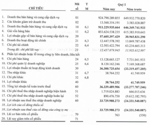 Hoàng Long (HLG): Quý 1 lãi 34 tỷ đồng - cao nhất trong 18 quý gần đây - Ảnh 1.