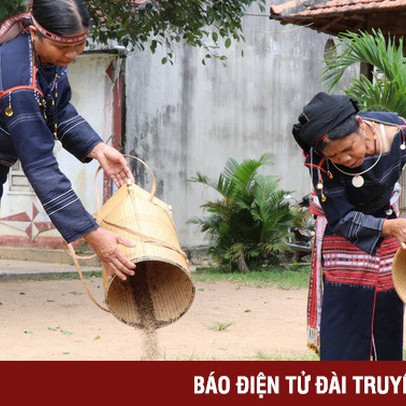 Hơn 11.000 tỷ đồng phát triển Tây Nguyên